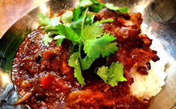 テラスとミコー