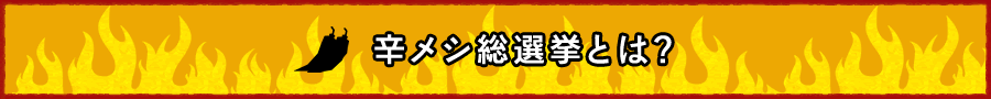 辛メシ総選挙とは？